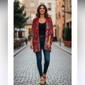 See Video Clip 😍 ▶️ Johnny Was ◀️ Bobcat Burnout Velvet Shawl One Size New